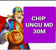 30M Chip Koin Ungu dari Mitra Resmi Domino (MD)