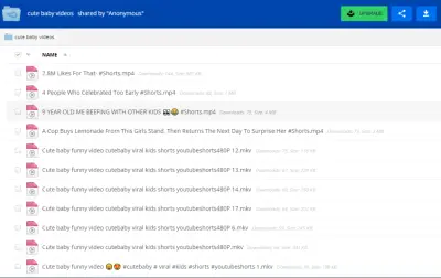 thumb_17_Folder_MediaFire.webp